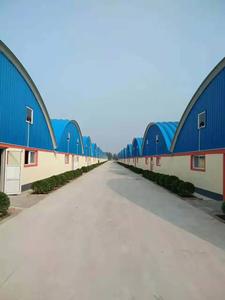 临沂水泥厂无梁拱形屋顶加固