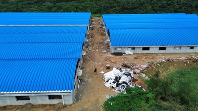 聊城拱形屋顶产品